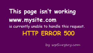 How to Fix the 500 Internal Server Error in WordPress